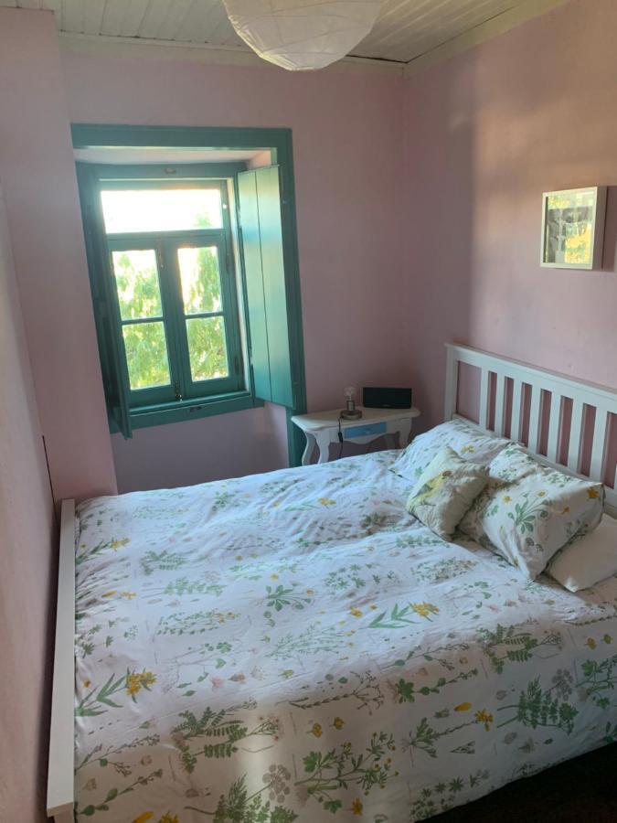 圣塔伦 Sao Miguel House , Casa Do Carvalhal旅馆 外观 照片